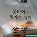 쌀쌀맞은닭 이미지
