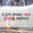 열사병 증상과 응급처치, 예방법은? 이미지