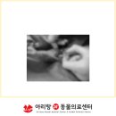 전주바로병원 이미지