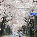 전농로의오후 이미지