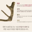 경방농장 이미지