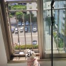 행복한 별 이미지