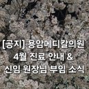 용암메디칼의원 이미지