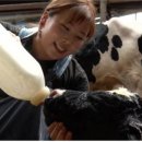 운주목장 이미지