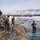 복PC 티스토리