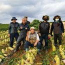 푸마시 주식회사 이미지