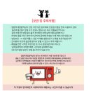 집밥먹개 집밥먹냥 | [집밥먹개집밥먹냥] 강아지화식/강아지화식추천/강아지밥/화식/내돈내산후기