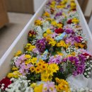 더프라임병원 | 후불제상조 더프라임라이프 경북문경제일병원 장례식장에서 보내드린 장례식후기입니다