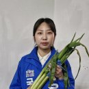 우리동네마트 이미지