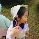 실내초병설유치원 이미지