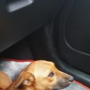 비몽사몽 이미지