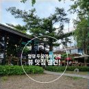 양평 두물머리 카페 추천｜카페 가람에서 즐긴 강뷰와 힐링 산책 후기