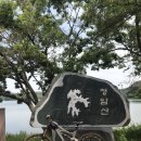 와룡목장 이미지