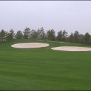 골프사랑 이미지