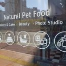 댕댕이와 냥냥이 울산장현점 이미지