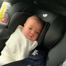 다일천사병원 | ~80days 낑깡 성장기록 &amp; 깜지 엄마되기