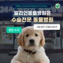 밀리언동물병원 이미지
