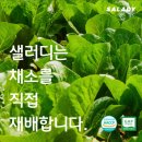 샐러디천안 - 천안시 서북구 불당25로 138 | 샐러디천안