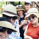 해뜨는 숲속 이미지