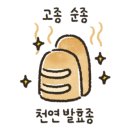 미각칼국수 이미지