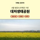 낙동강관리본부 대저생태공원 5 이미지