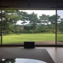 탄넨바움 이미지