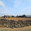 안성리-8 이미지