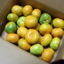 유나네농원 이미지