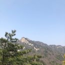 평사리메밀막국수