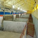 춘원농장 이미지