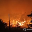 쭌카라반캠핑장 이미지
