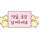 스테이 자이언 이미지