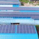 한국쏠라뱅크 태양광발전소 이미지