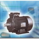 SPEED MOTORS 이미지
