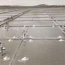 삼양수산 이미지