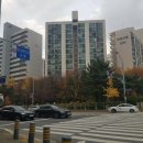 진영동물약국 이미지