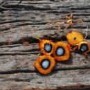 우림교역 이미지