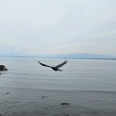 모노레일커피 이미지