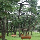 지천통나무집 이미지