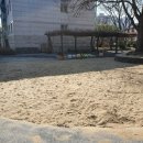 아이코리아부속새세대유치원 이미지