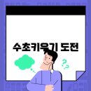 예쁜걸음 이미지