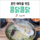 오늘도콩닭콩닭 이미지
