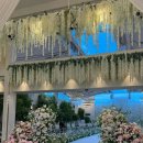밝은홀 용산 로얄파크컨벤션 파크홀 장단점 후기 (25년 하반기 견적 공유)