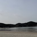 바다네칼국수 이미지