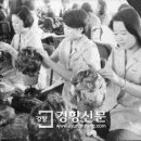 개미머리 이미지