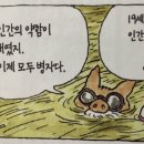 스텔라리움