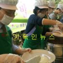 생명나무 이미지