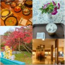 한국효문화진흥원 공연장 | 대전 가볼 만한 곳 뿌리공원 한국효문화진흥원 효사랑카페 예담추어명가 대전여행