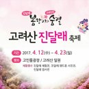 2017년 4월 16일 제249차 정기산행 고려산 진달래축제 갑니다 .안내및신청 이미지