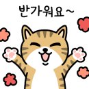 수림수산 네이버블로그